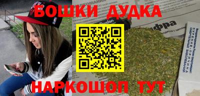 шишки Дубна