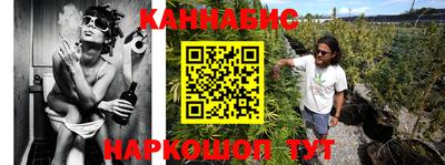 шишки Дубна