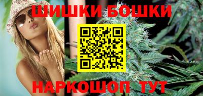 шишки Дубна
