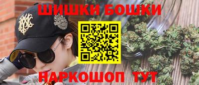 шишки Дубна